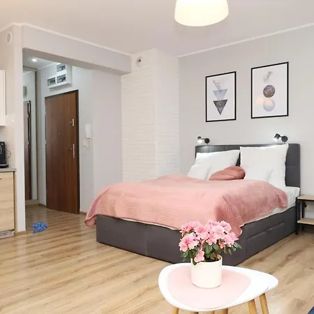 Lucky-time Pl - 35 - Ostrow Tumski Apartment